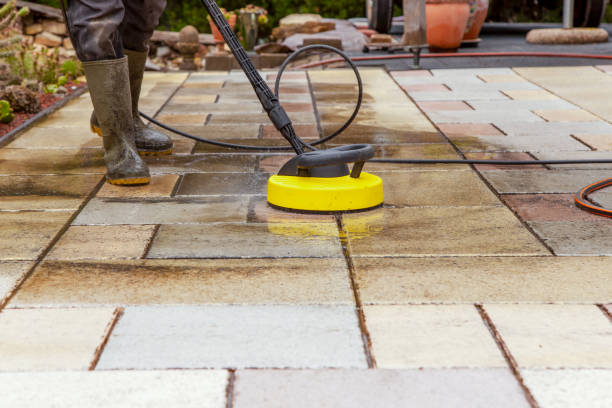 Best Roof Washing  in Zolfo Springs, FL